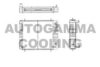 AUTOGAMMA 103361 Radiator, engine cooling